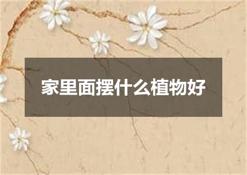 家里面摆什么植物好