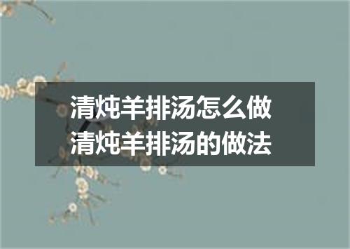 清炖羊排汤怎么做 清炖羊排汤的做法