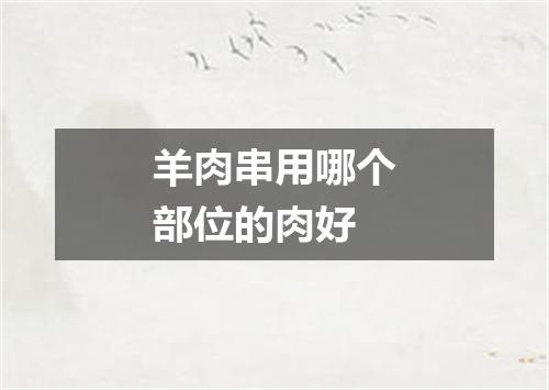 羊肉串用哪个部位的肉好