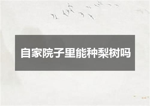 自家院子里能种梨树吗