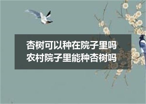 杏树可以种在院子里吗 农村院子里能种杏树吗