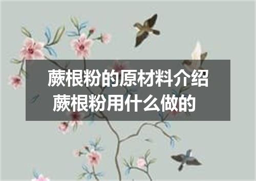 蕨根粉的原材料介绍 蕨根粉用什么做的