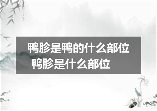 鸭胗是鸭的什么部位 鸭胗是什么部位