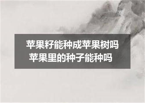 苹果籽能种成苹果树吗 苹果里的种子能种吗