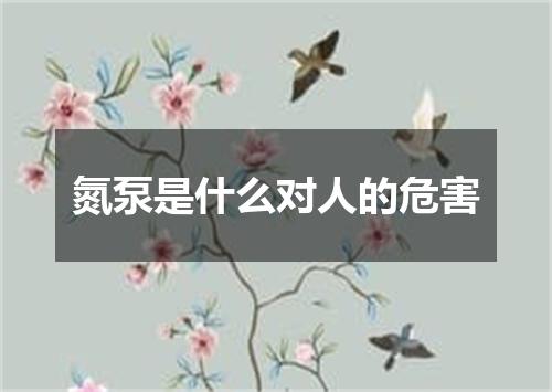 氮泵是什么对人的危害