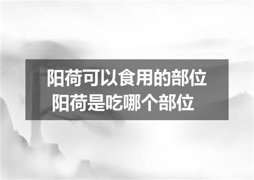 阳荷可以食用的部位 阳荷是吃哪个部位