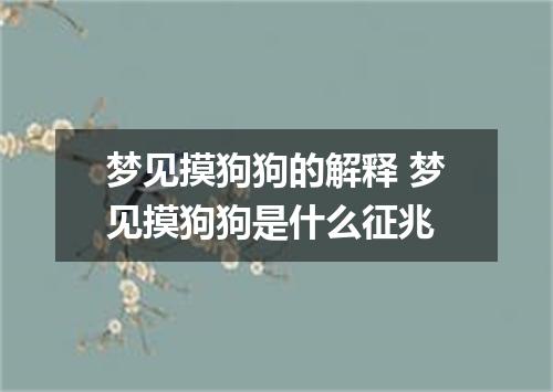 梦见摸狗狗的解释 梦见摸狗狗是什么征兆