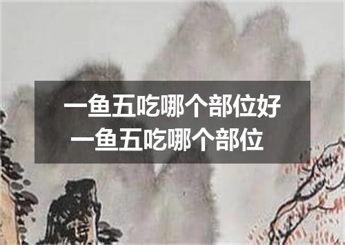 一鱼五吃哪个部位好 一鱼五吃哪个部位