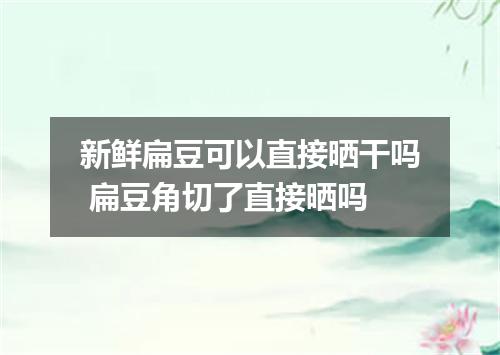 新鲜扁豆可以直接晒干吗 扁豆角切了直接晒吗