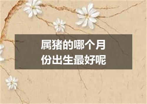 属猪的哪个月份出生最好呢