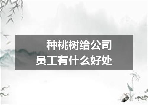 　种桃树给公司员工有什么好处