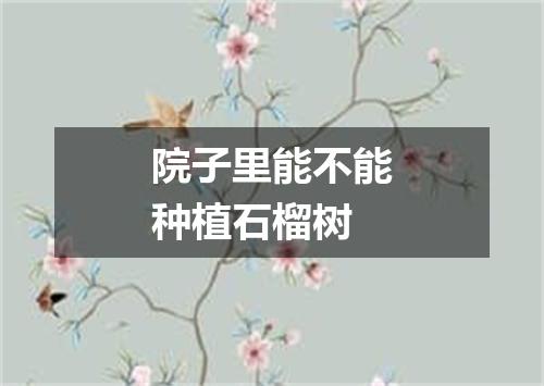 院子里能不能种植石榴树