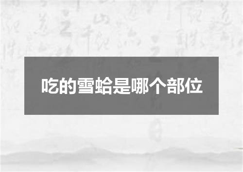 吃的雪蛤是哪个部位