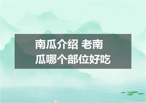 南瓜介绍 老南瓜哪个部位好吃