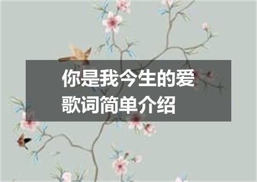 你是我今生的爱歌词简单介绍