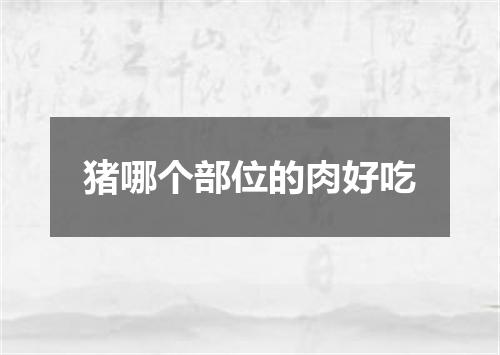 猪哪个部位的肉好吃