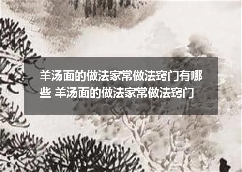 羊汤面的做法家常做法窍门有哪些 羊汤面的做法家常做法窍门