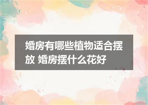 婚房有哪些植物适合摆放 婚房摆什么花好