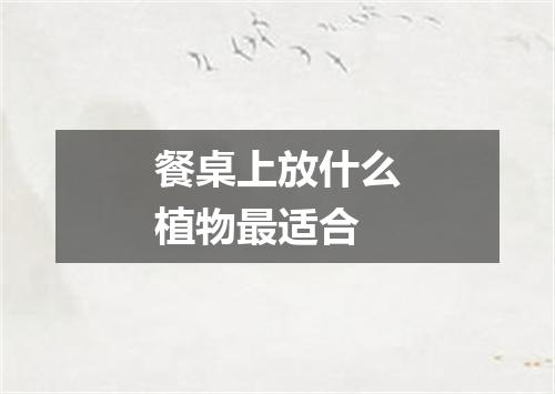 餐桌上放什么植物最适合