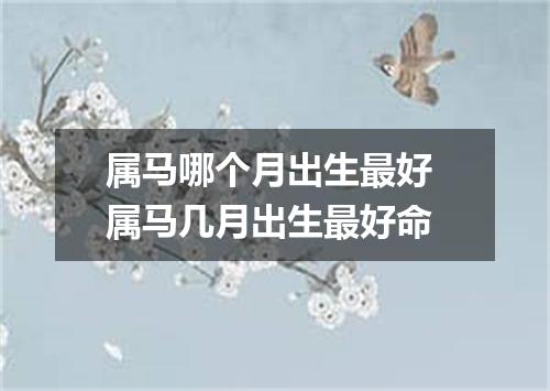 属马哪个月出生最好 属马几月出生最好命
