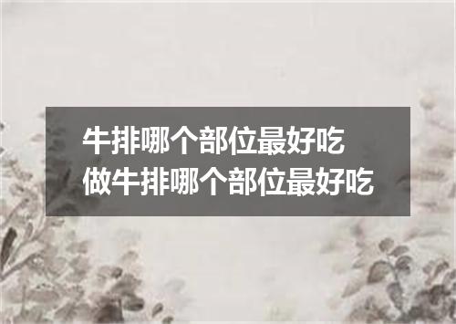 牛排哪个部位最好吃 做牛排哪个部位最好吃