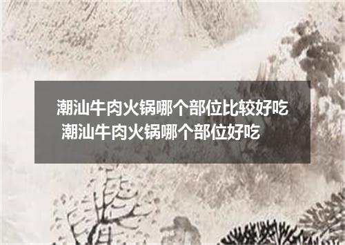 潮汕牛肉火锅哪个部位比较好吃 潮汕牛肉火锅哪个部位好吃