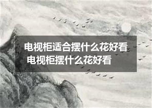 电视柜适合摆什么花好看 电视柜摆什么花好看