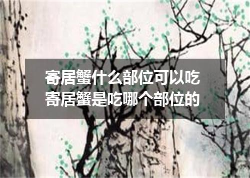 寄居蟹什么部位可以吃 寄居蟹是吃哪个部位的