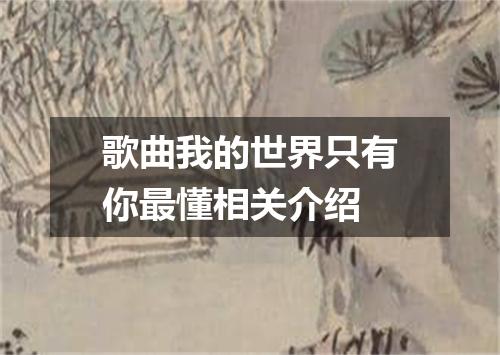 歌曲我的世界只有你最懂相关介绍