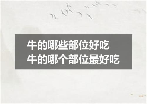 牛的哪些部位好吃 牛的哪个部位最好吃