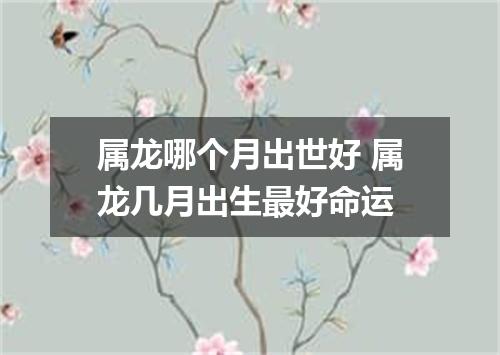 属龙哪个月出世好 属龙几月出生最好命运