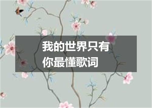 我的世界只有你最懂歌词