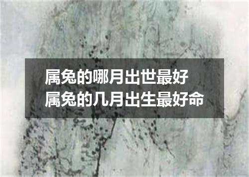 属兔的哪月出世最好 属兔的几月出生最好命