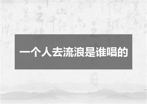 一个人去流浪是谁唱的