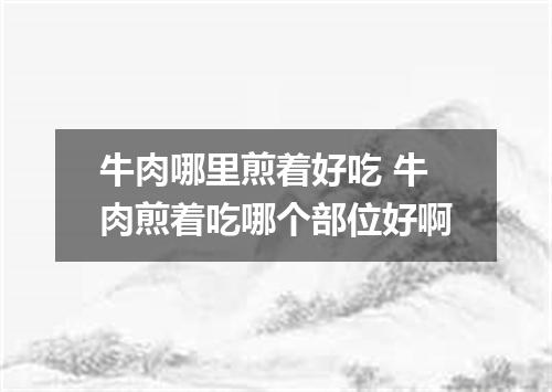 牛肉哪里煎着好吃 牛肉煎着吃哪个部位好啊