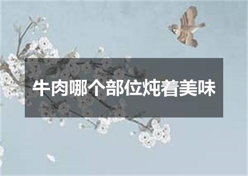 牛肉哪个部位炖着美味