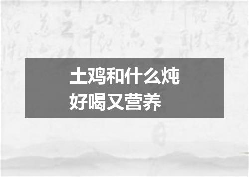 土鸡和什么炖好喝又营养