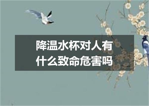 降温水杯对人有什么致命危害吗