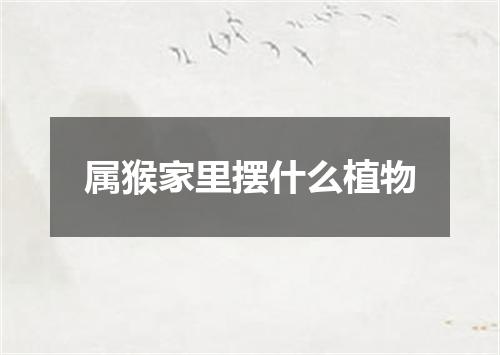 属猴家里摆什么植物