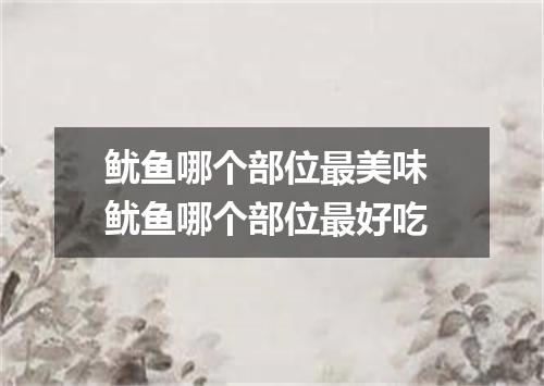 鱿鱼哪个部位最美味 鱿鱼哪个部位最好吃