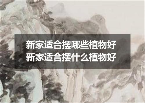 新家适合摆哪些植物好 新家适合摆什么植物好