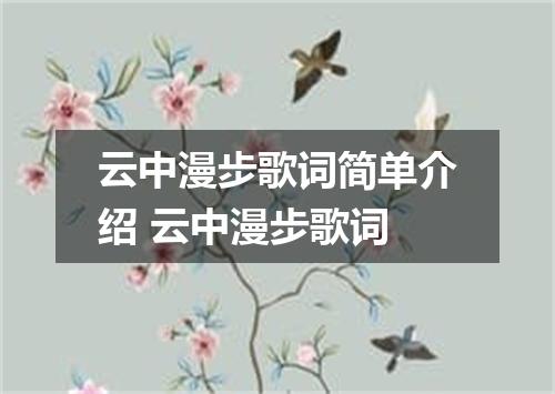 云中漫步歌词简单介绍 云中漫步歌词