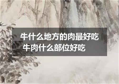 牛什么地方的肉最好吃 牛肉什么部位好吃