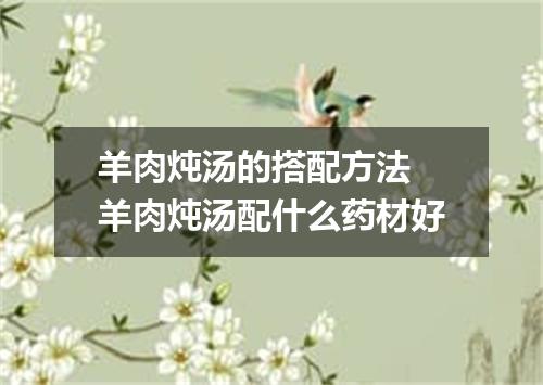 羊肉炖汤的搭配方法 羊肉炖汤配什么药材好