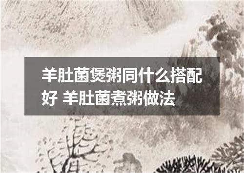 羊肚菌煲粥同什么搭配好 羊肚菌煮粥做法