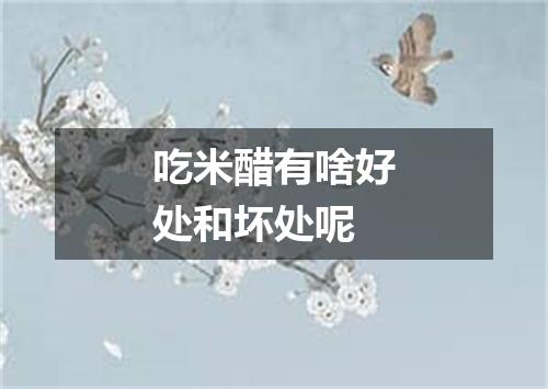 吃米醋有啥好处和坏处呢