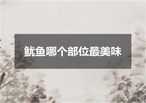鱿鱼哪个部位最美味