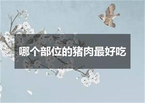 哪个部位的猪肉最好吃