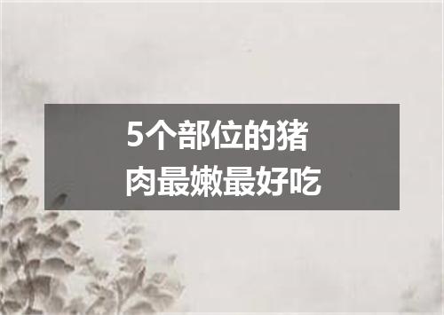 5个部位的猪肉最嫩最好吃