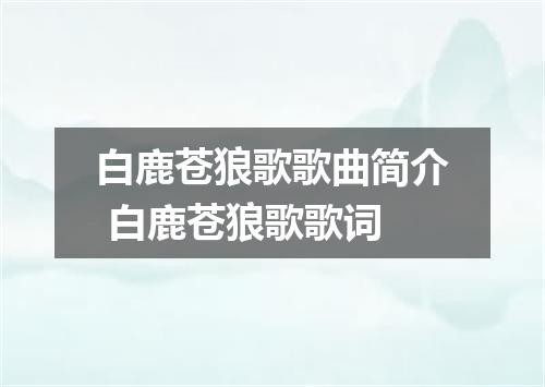 白鹿苍狼歌歌曲简介 白鹿苍狼歌歌词